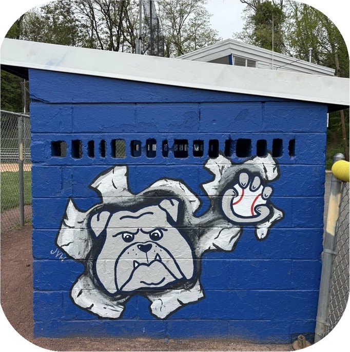 Dugout mural of a bulldog bursting through the blue cinder-block wall with a paw holding a baseball