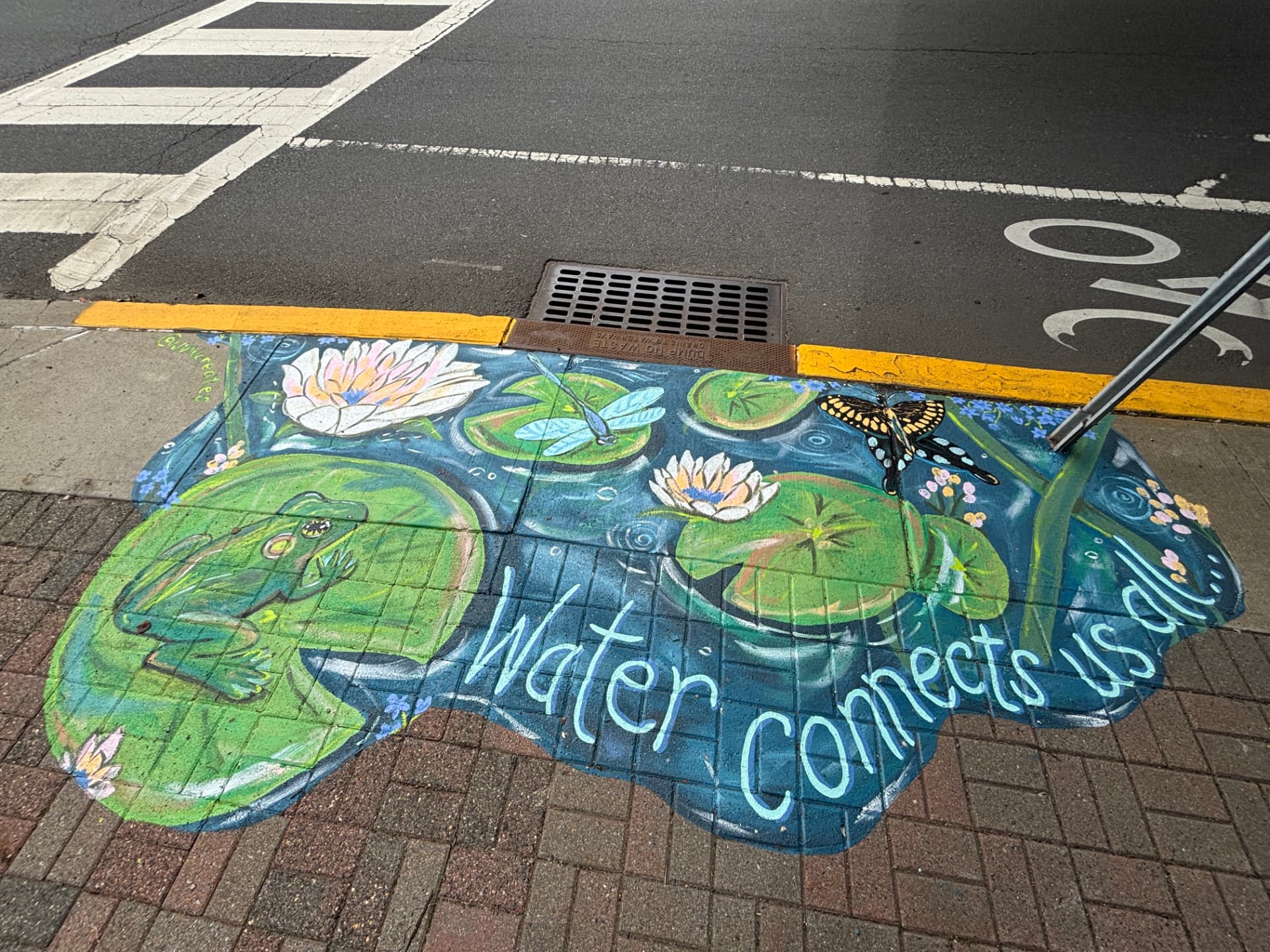 Sidewalk storm-drain mural of a lily pond with a frog, dragonfly, swallowtail butterfly and water lilies, hand-lettered Water connects us all